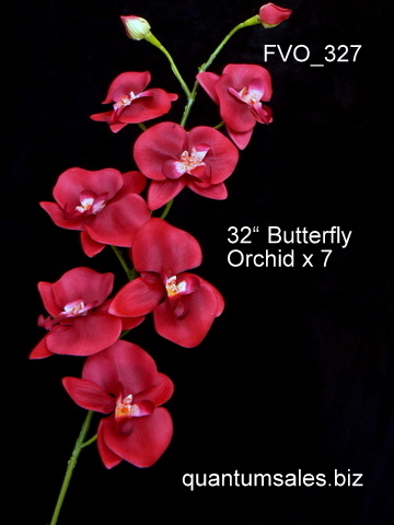 32" Butterfly Orchid x 7  ( $3.60 )